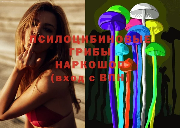 прущие крисы Аркадак